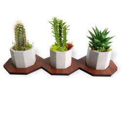 Altıgen Ahşap Ayaklı Beton Saksı Seti HK1659