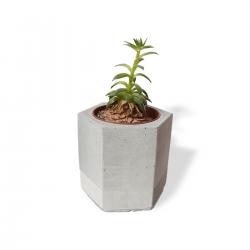 Altıgen Silindir Beton Saksı - Büyük Boy HK1520