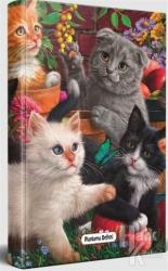 Bahçe Kedileri - Planlama Defteri