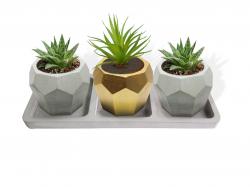 Beton Tepsili 3'lü Elmas Beton Saksı Seti HK1632
