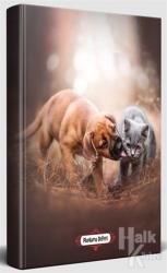 Can Dostlar - Süresiz Planlama Defteri