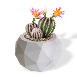 Diamond Beton Saksı HK1626