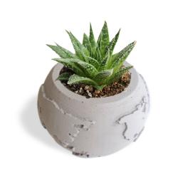 Dünya Desenli Beton Saksı Küçük Boy HK1521