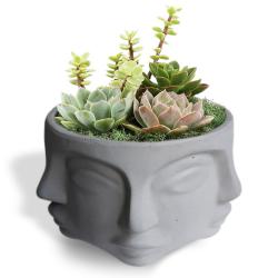 Faced Beton Saksı, Büyük Boy HK1677