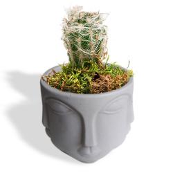 Faced Beton Saksı, Orta Boy HK1676