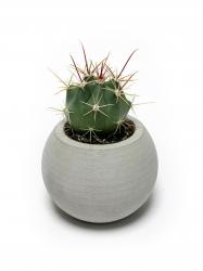 Küre Beton Saksı HK1537