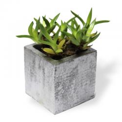 Kare Beton Saksı Gümüş HK1539-G