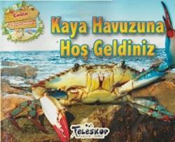 Kaya Havuzuna Hoş Geldiniz - Canlılar ve Yaşam Alanları