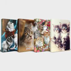 Kedili Defter Seti - 4 Defter V2