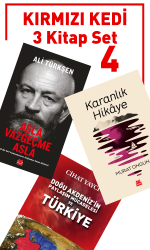 Kırmızı Kedi Set 4