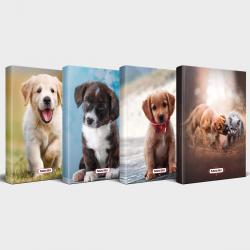 Köpek Temalı Defter Seti 4'lü v2