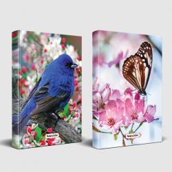 Sevimli Hayvanlar Defter Kuş Bakışı ve Kelebek Etkisi