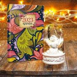 Melek Teraryum Seti - Cümbüş