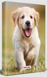 Mutlu Prens - Süresiz Planlama Defteri