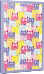 Renkli Kulaklar 64 Sayfa Çizgili Okul Defteri