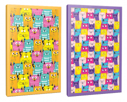 Sivri Kulaklar 2li 64 Sayfa Çizgili Okul Defteri Seti -11