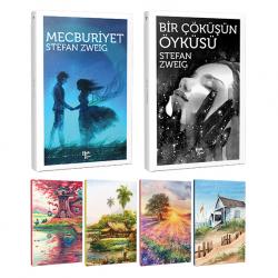 Stefan Zweig 2 Kitap Bir Arada ve 4 Defter -10