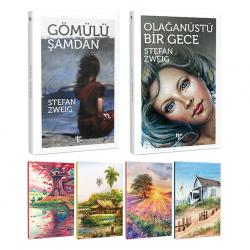 Stefan Zweig 2 Kitap Bir Arada ve 4 Defter -2