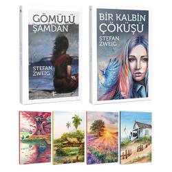 Stefan Zweig 2 Kitap Bir Arada ve 4 Defter -3