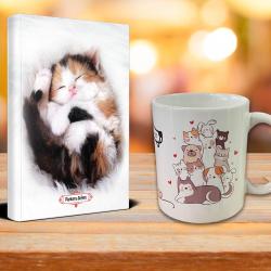 Uykucu Kedi Ajanda Mutlu Kediler Kupa Seti