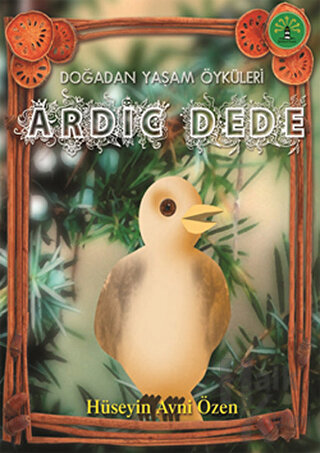 Ardıç Dede