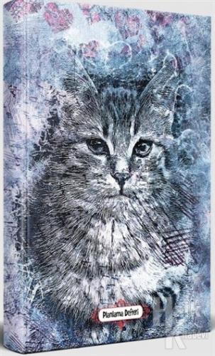 Asil Kedi - Planlama Defteri