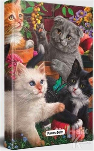 Bahçe Kedileri - Planlama Defteri