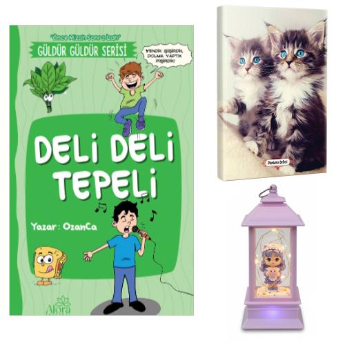 Deli Deli Tepeli - Maviş Kediler Planlama Defteri ve Oyuncak Domuzcuklu Kız Fener Tipi Işıklı Kar Küresi