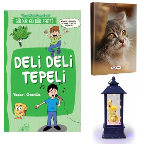 Deli Deli Tepeli - Minik Kedi Planlama Defteri ve Küçük Prens Sokak Lambası Fener Tipi Işıklı Kar Küresi
