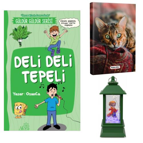 Deli Deli Tepeli - Şaşkın Kedi Planlama Defteri ve Harry Potter Temalı Fener Tipi Işıklı Kar Küresi