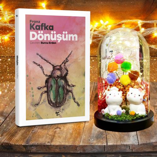 Dost Kediler Teraryum Hediye Seti - Dünya Klasiği Dönüşüm - Halkkitabe