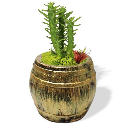 Fıçı Beton Saksı - Siyah Üstü Altınvarak - Halkkitabevi