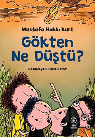 Gökten Ne Düştü?