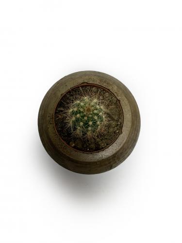 Ahşap Renkli Beton Küre Saksı - Halkkitabevi