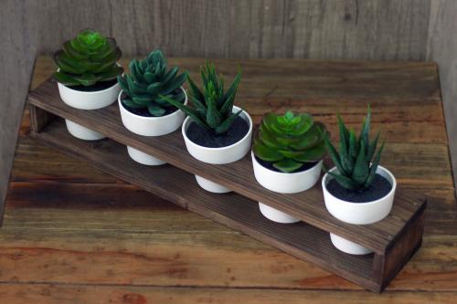 5'li Ahşap Sukulent Standı - Halkkitabevi