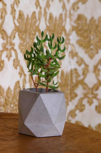 HK Dekor Lia Beton Saksı - Halkkitabevi