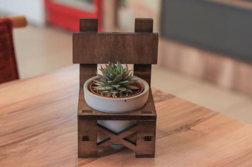 Lora Beton Saksılı Ahşap Sandalye - Halkkitabevi