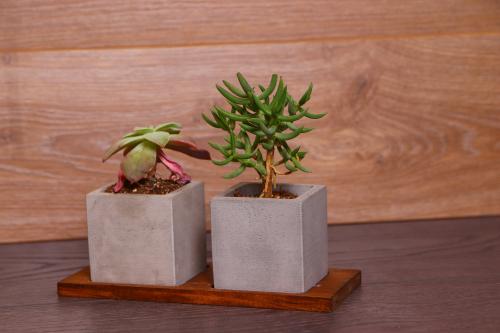 HK Dekor Beton Saksı Takımı