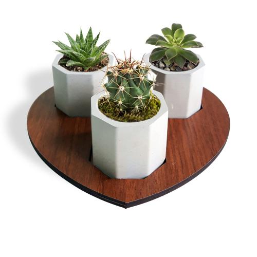 Kalp Ahşap Ayaklı 6gen Beton Saksı Seti - Halkkitabevi