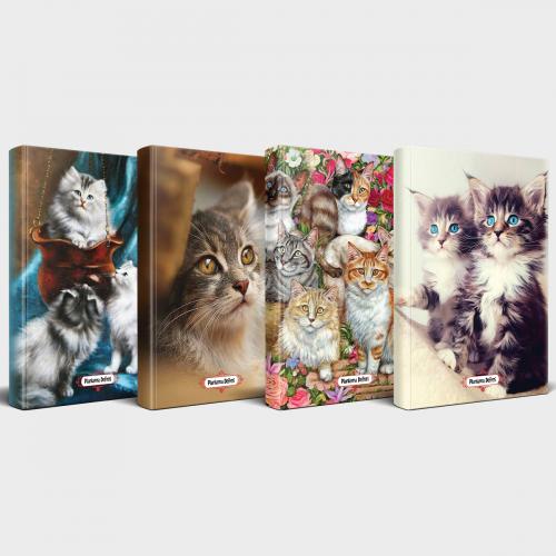 Kedili Defter Seti - 4 Defter V2 - Halkkitabevi