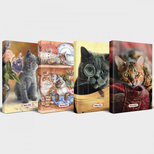 Kedili Defter Seti - 4 Defter V3 - Halkkitabevi