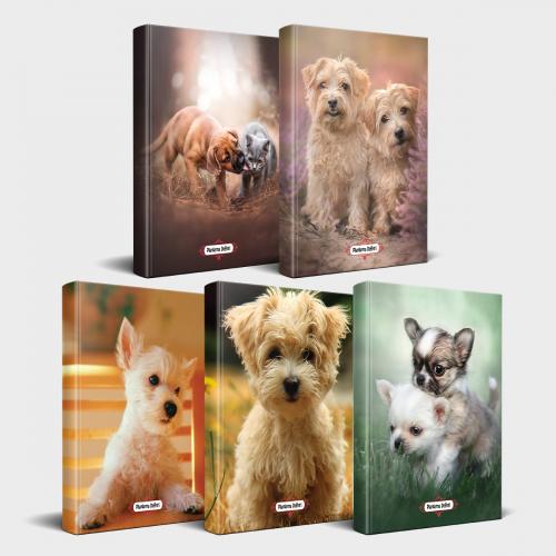 Köpek Temalı Defter Seti 5'li v1 - Halkkitabevi