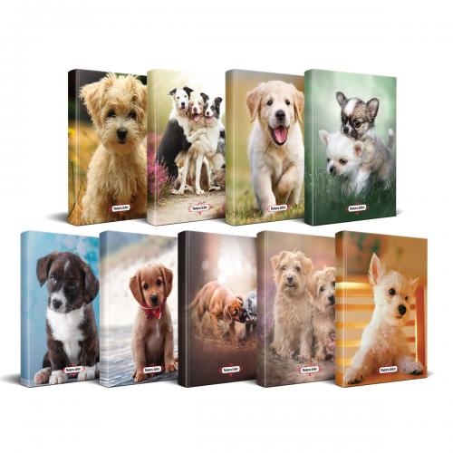 Köpek Temalı Süresiz Planlama Defter Seti - 9 Defter