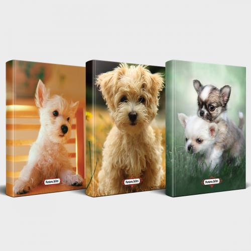 Köpek Temalı Defter Seti 3'lü v1