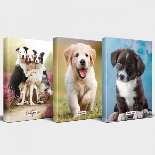 Köpek Temalı Defter Seti 3'lü v3 - Halkkitabevi