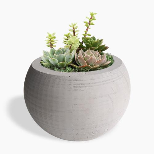 Küre Beton Saksı Büyük Boy - Halkkitabevi