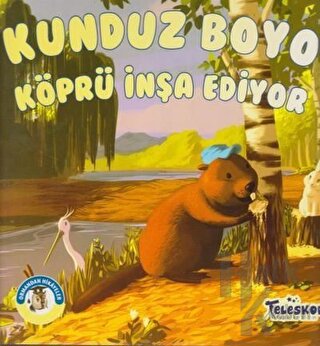 Kunduz Boyo Köprü İnşa Ediyor - Ormandan Hikayeler - Halkkitabevi