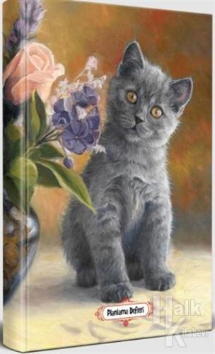 Masum Kedi - Planlama Defteri