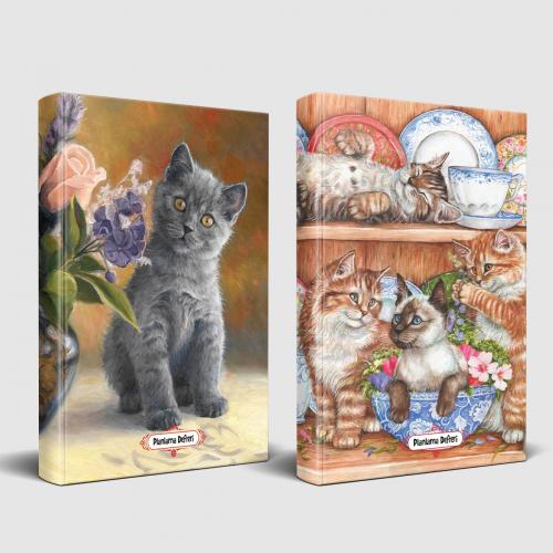 Masum Kedi ve Evin Kedileri Planlama Defteri