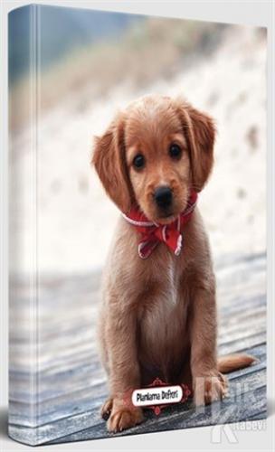 Masum Köpek - Süresiz Planlama Defteri